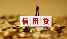 东莞8哪有个人借贷-东莞8小额贷款公司-东莞8私借空放免费上门