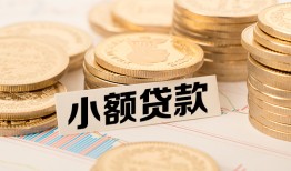 东莞8身份证贷款平台-东莞8私人借贷不查征信-东莞8空放借钱