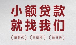 东莞8民间贷款-东莞8小额贷款不查征信-东莞8贷款信用贷款